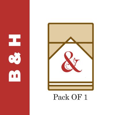 Benson & Hedges Special (Regular) x 20 Sticks (Pack Of 1)
